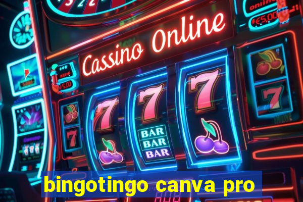 bingotingo canva pro